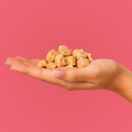 Freeze-Dried Salmon Dog Treats - 1 lb bulk