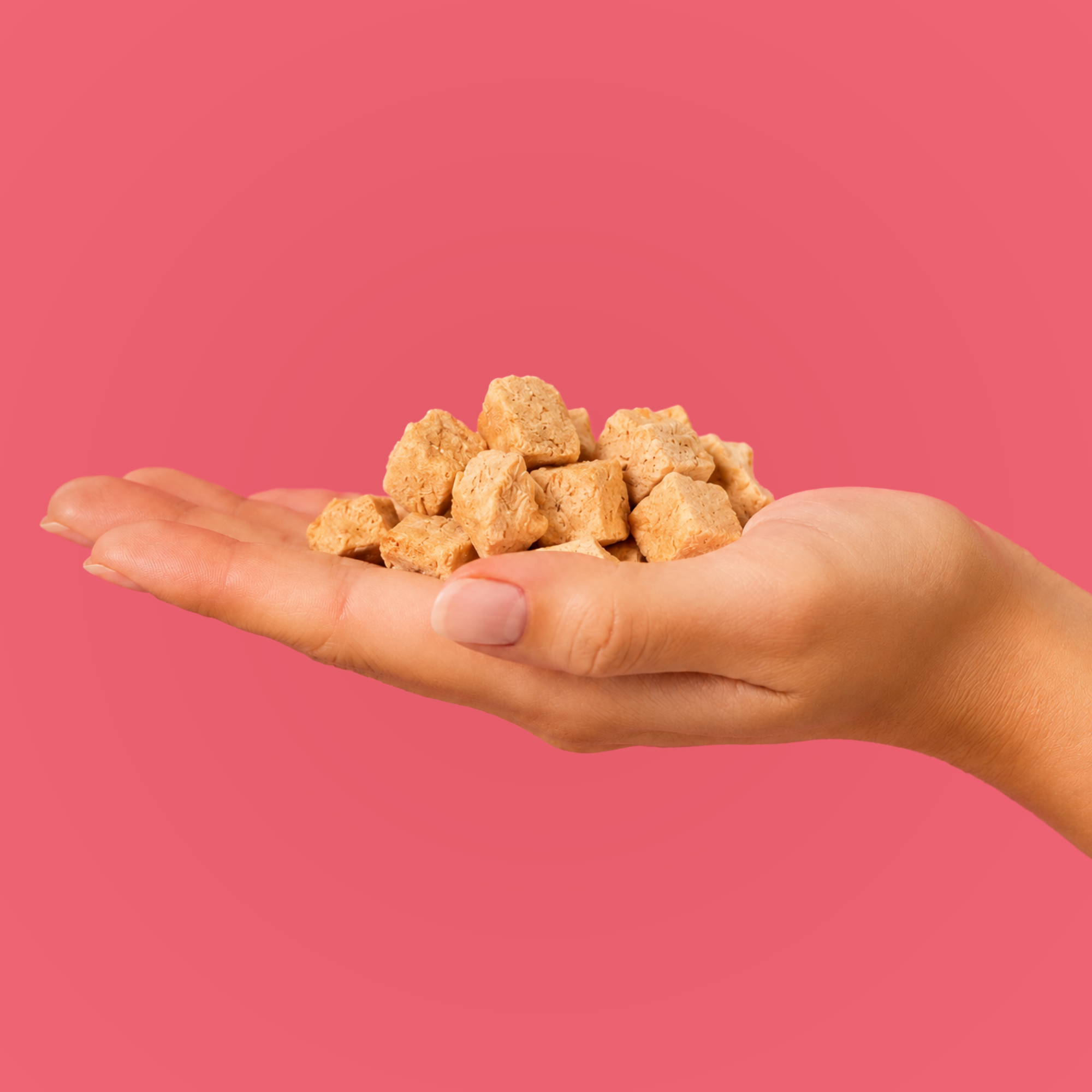 Freeze-Dried Salmon Dog Treats - 1 lb bulk