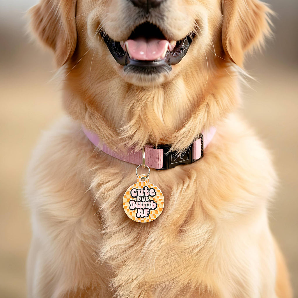 Funny Dog Tag Charm & Pet ID Accessory - Cute but Dumb AF