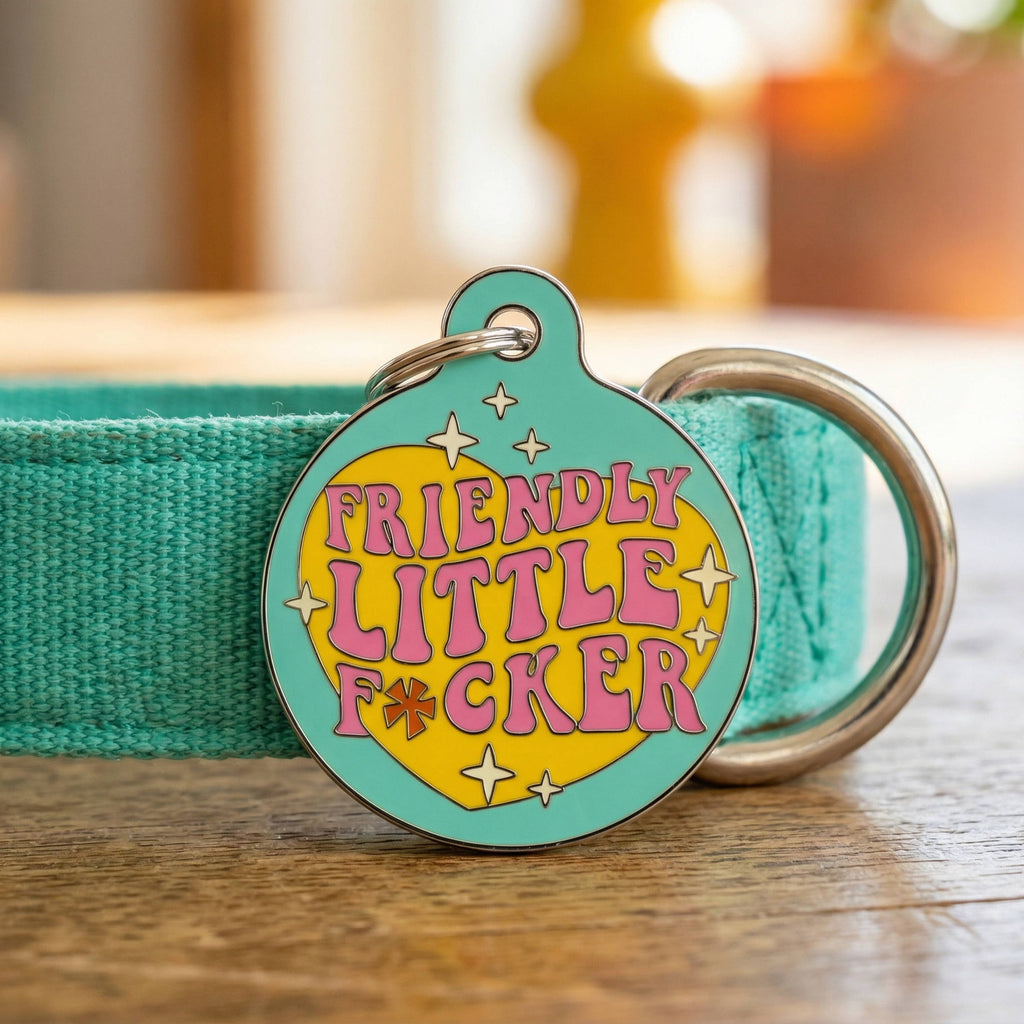 Funny Dog Charm & Pet ID Tag - Friendly Little F*cker