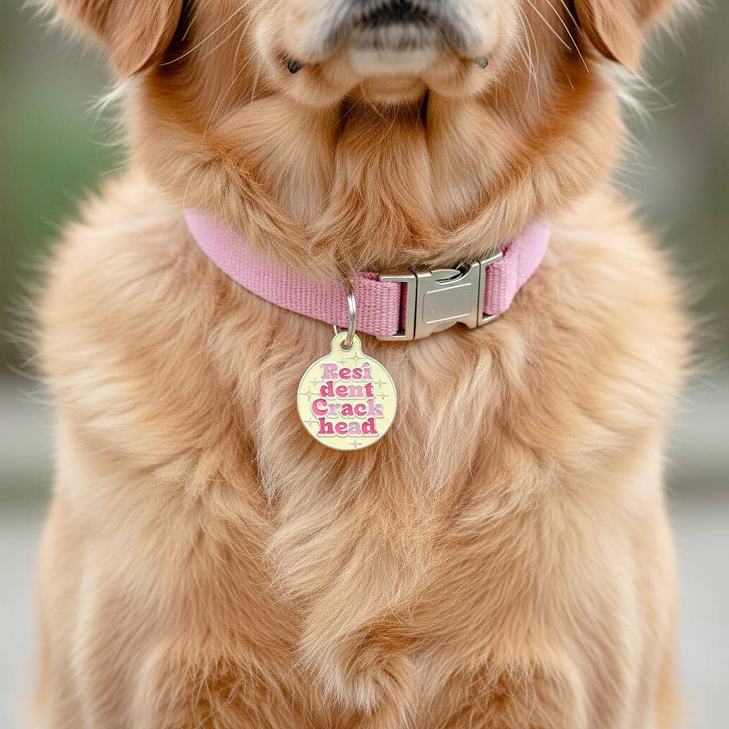 Enamel Pet Charm or Digital ID  - Resident Crackhead *Yellow