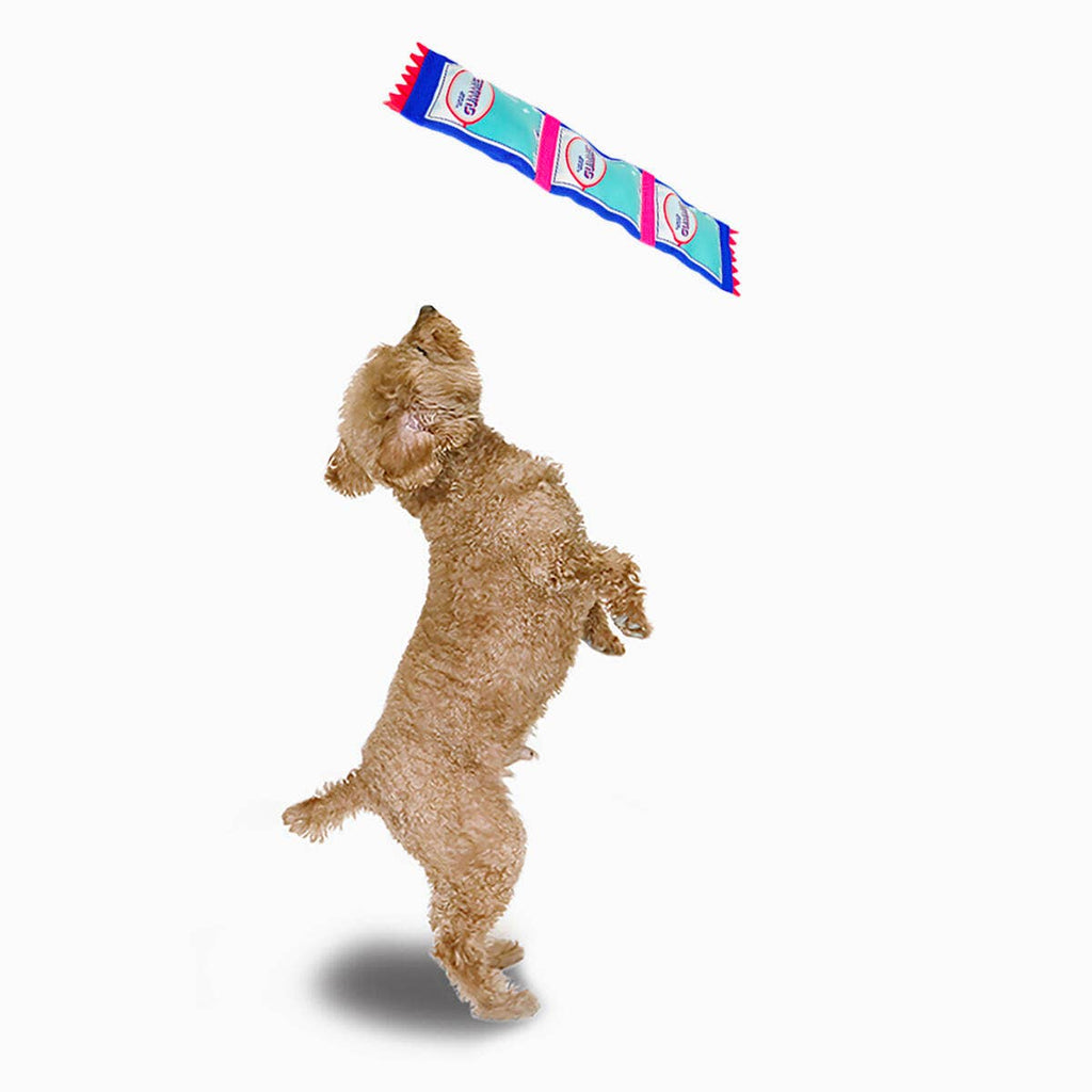 HugSmart Pet - Super Firehose | Gummy Bear - Dog Tough Toy