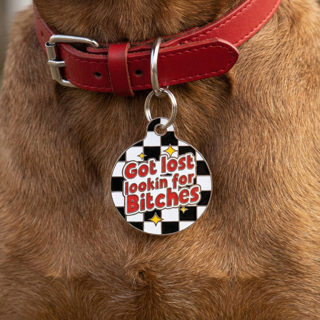 Funny Dog ID Tag & Pet Accessory - Looking for Bitches