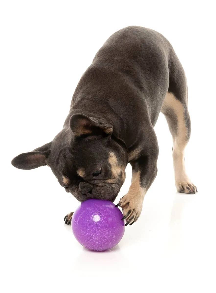 FuzzYard Truth Tellin' Treat Ball Dog Chew Toy