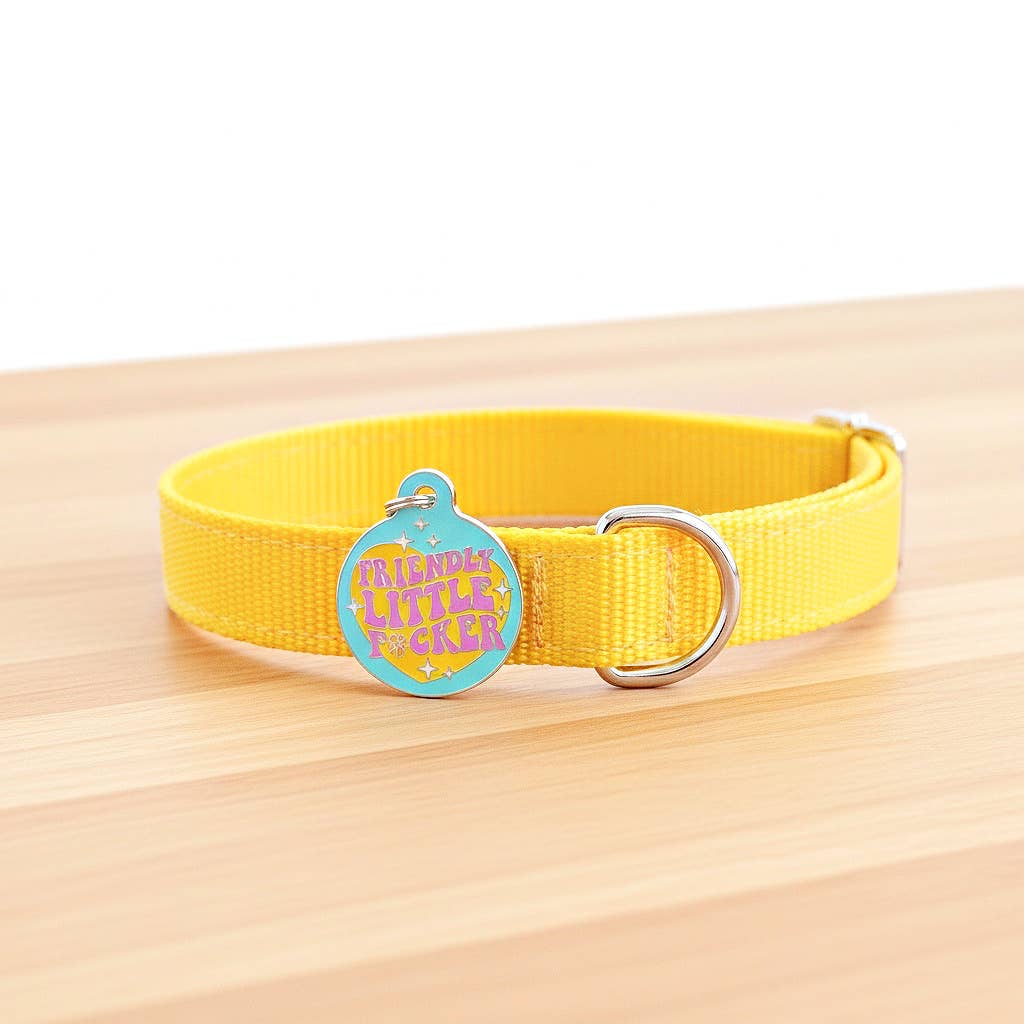 Funny Dog Charm & Pet ID Tag - Friendly Little F*cker