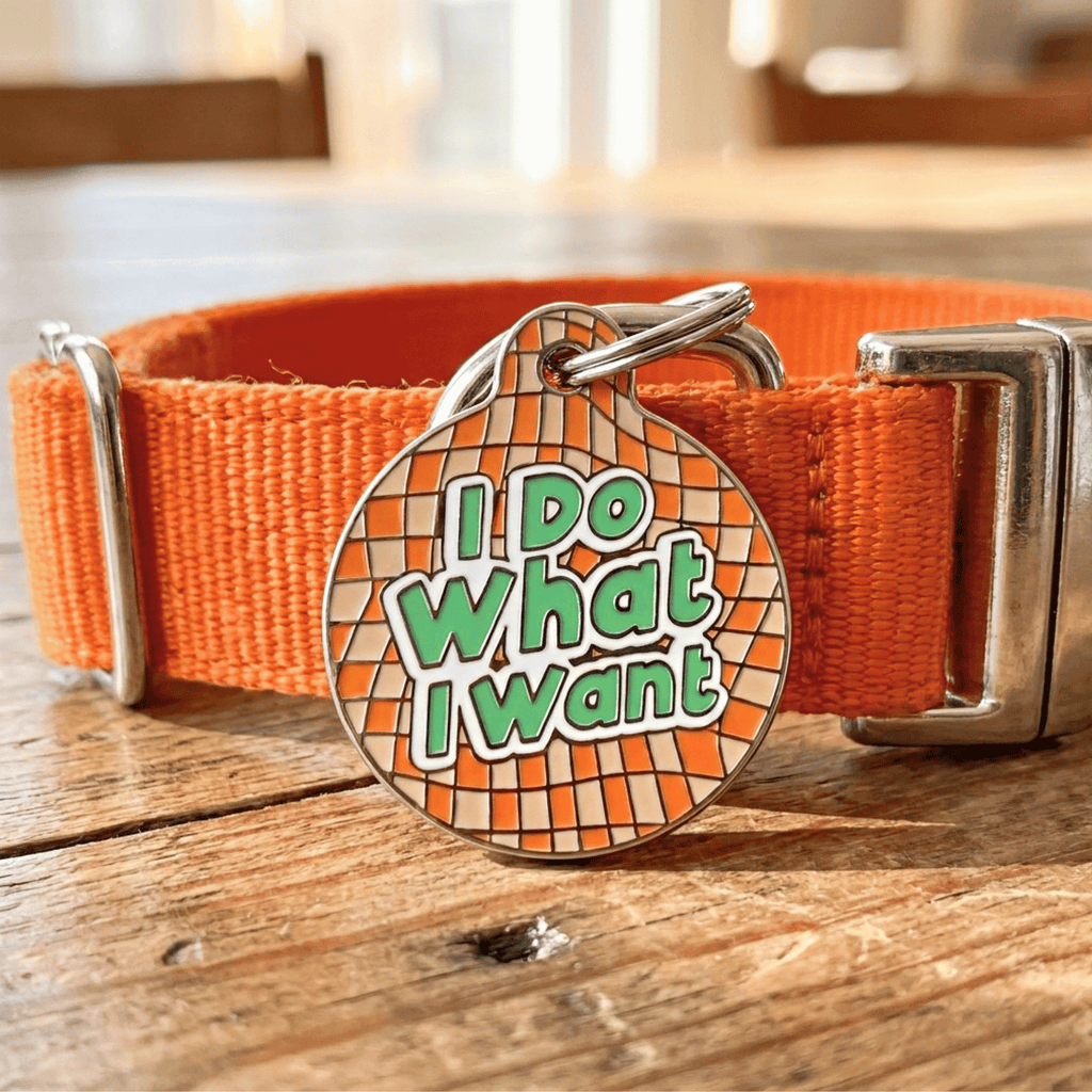 Funny Dog Tag Charm or Pet ID Tag - I Do What I Want