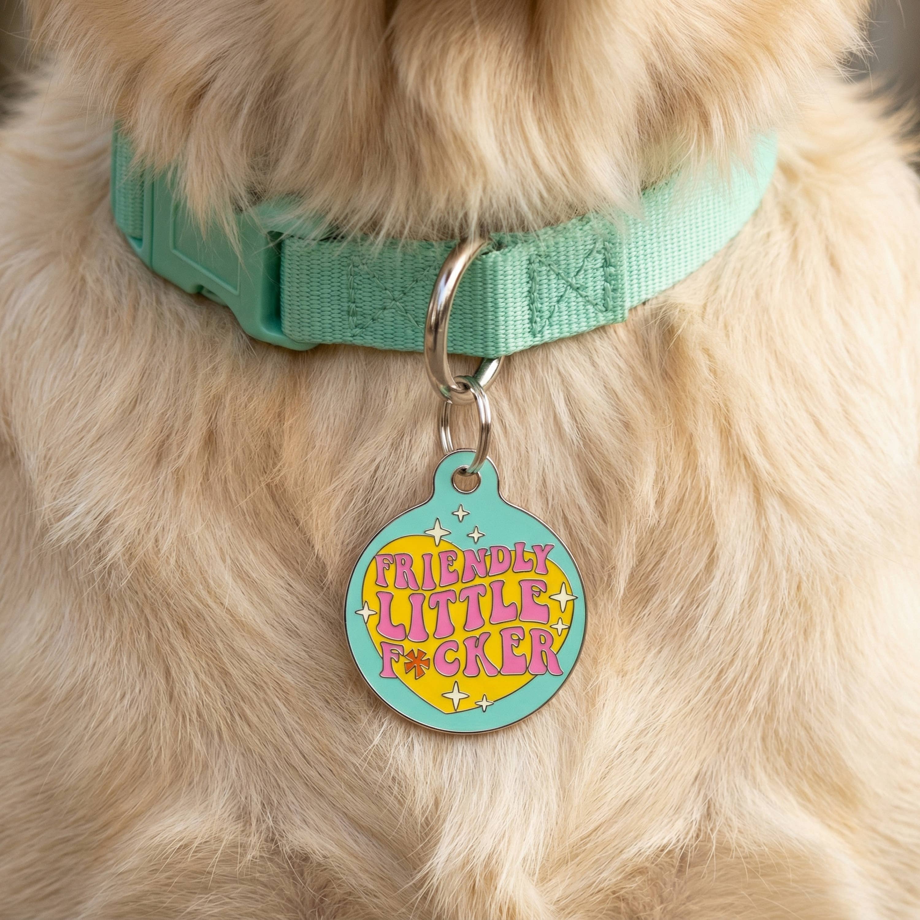 Funny Dog Charm & Pet ID Tag - Friendly Little F*cker
