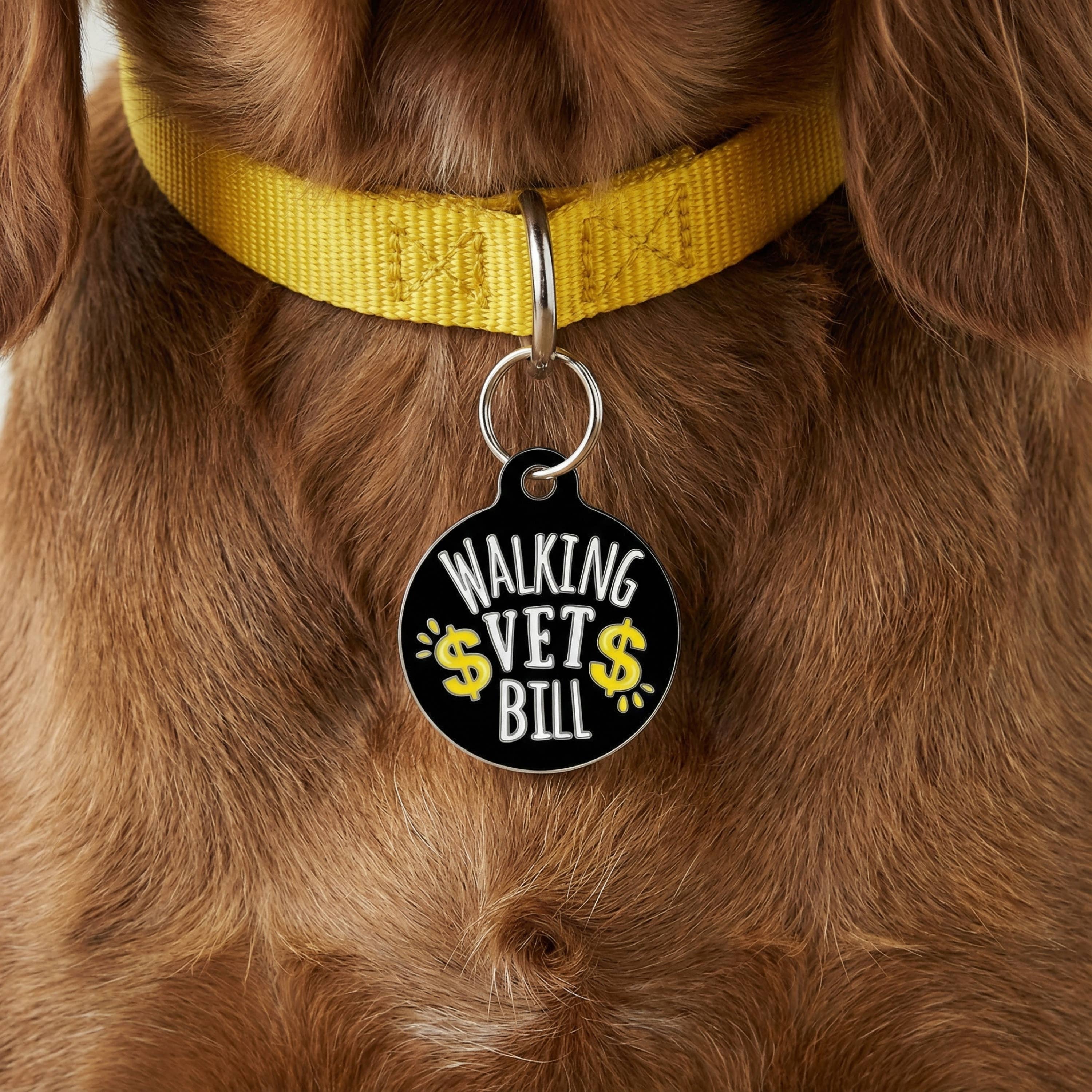 Funny Dog Charm & Pet ID Tag - Walking Vet Bill