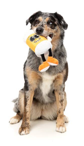 FuzzYard Steinzy Plush Dog Toy