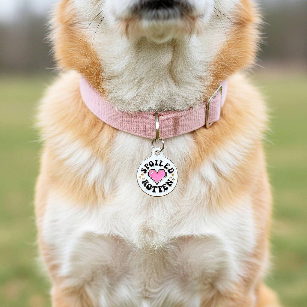 Cute Pet Tag & Dog Collar Charm - Spoiled Rotten 