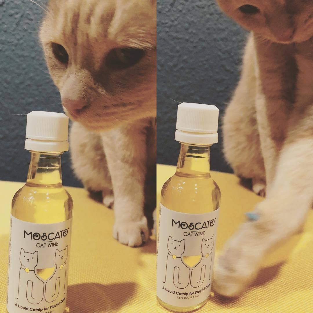 PetWineShop Cat Wine MosCATo Liquid Catnip For Cats
