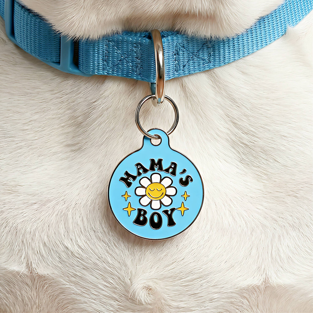 Cute Pet Tag & Dog Collar Charm - Mama's Boy *Blue