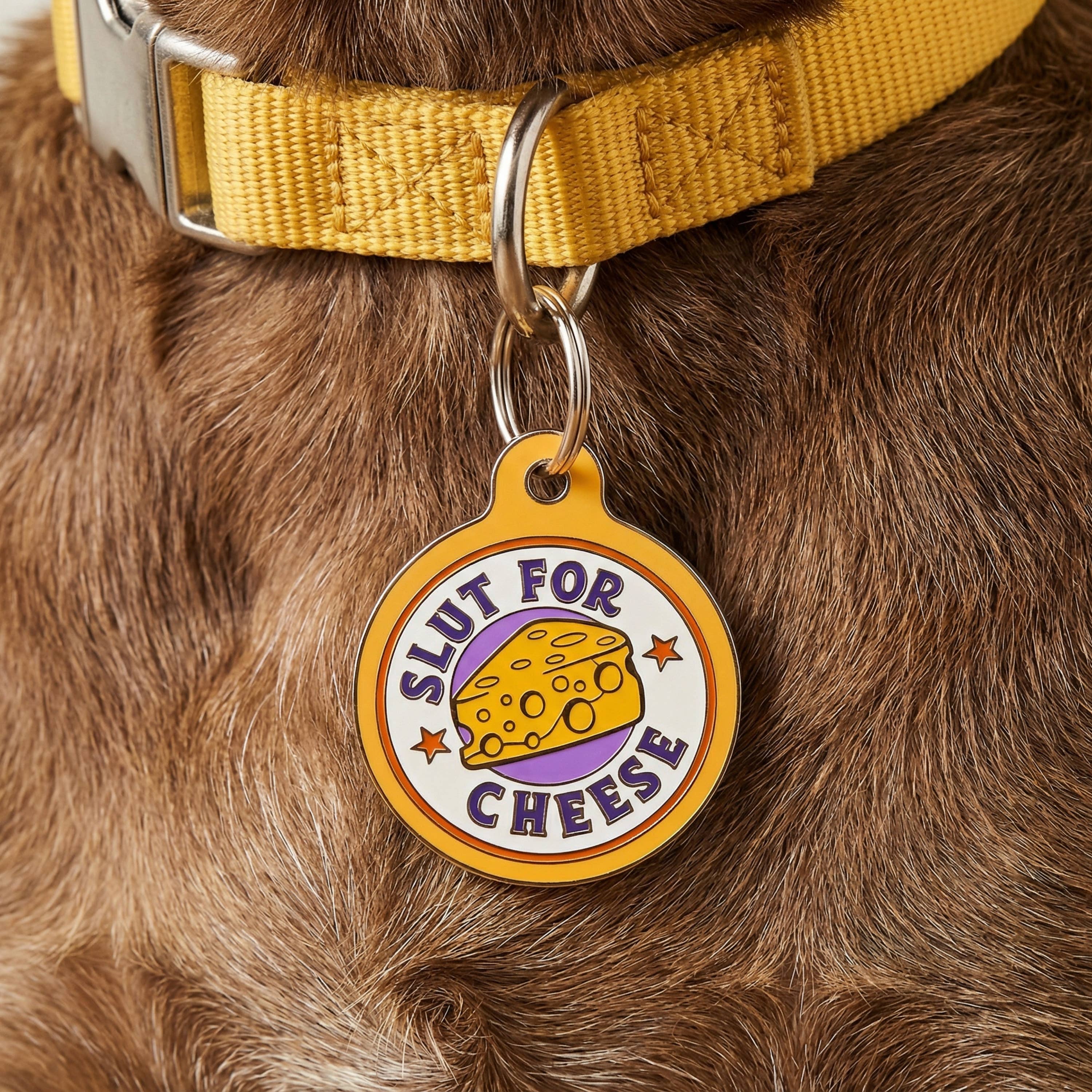 Funny Pet Accessory & Dog Tag Charm - Slut for Cheese