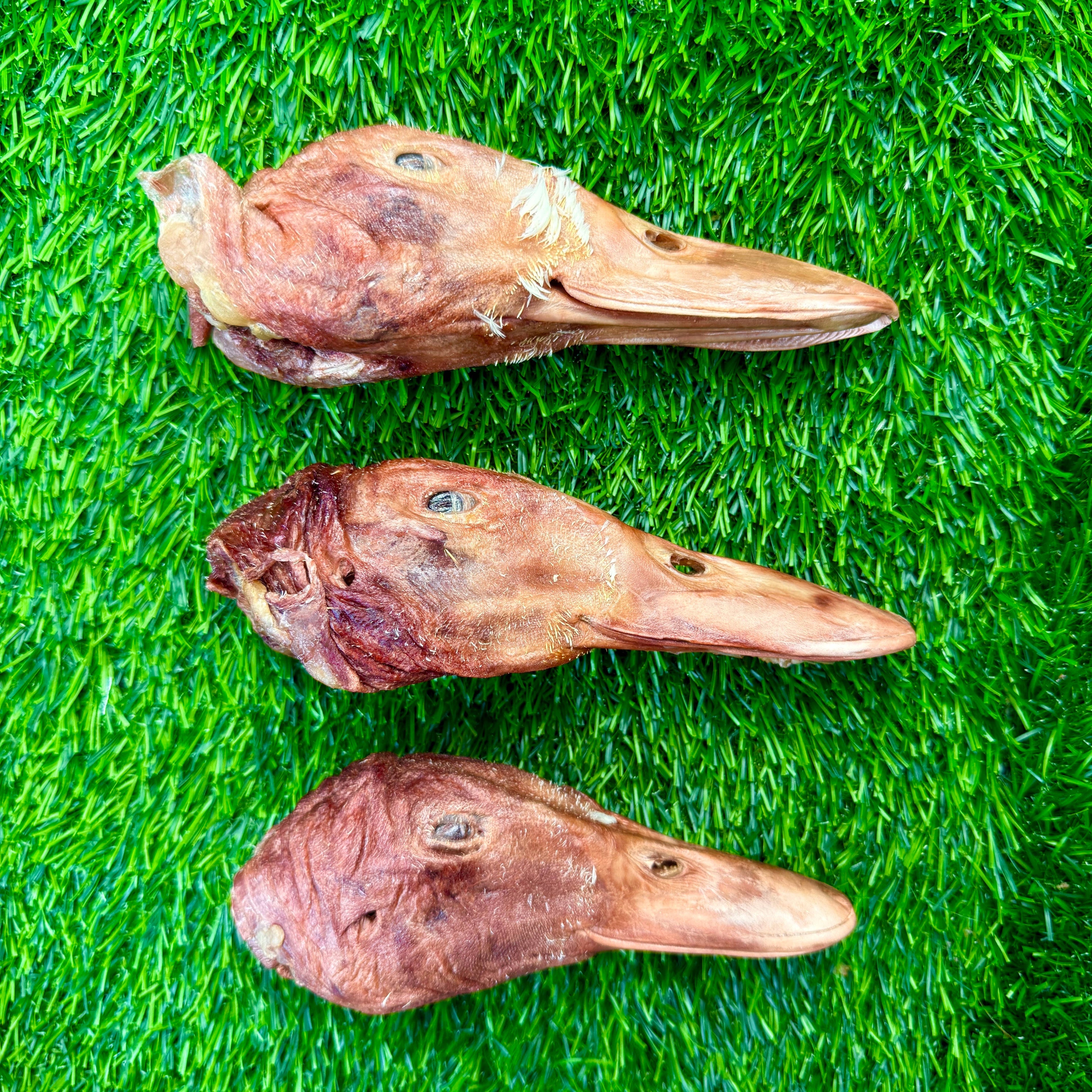Duck Head - Freeze-Dried Treat/Chew for Dogs