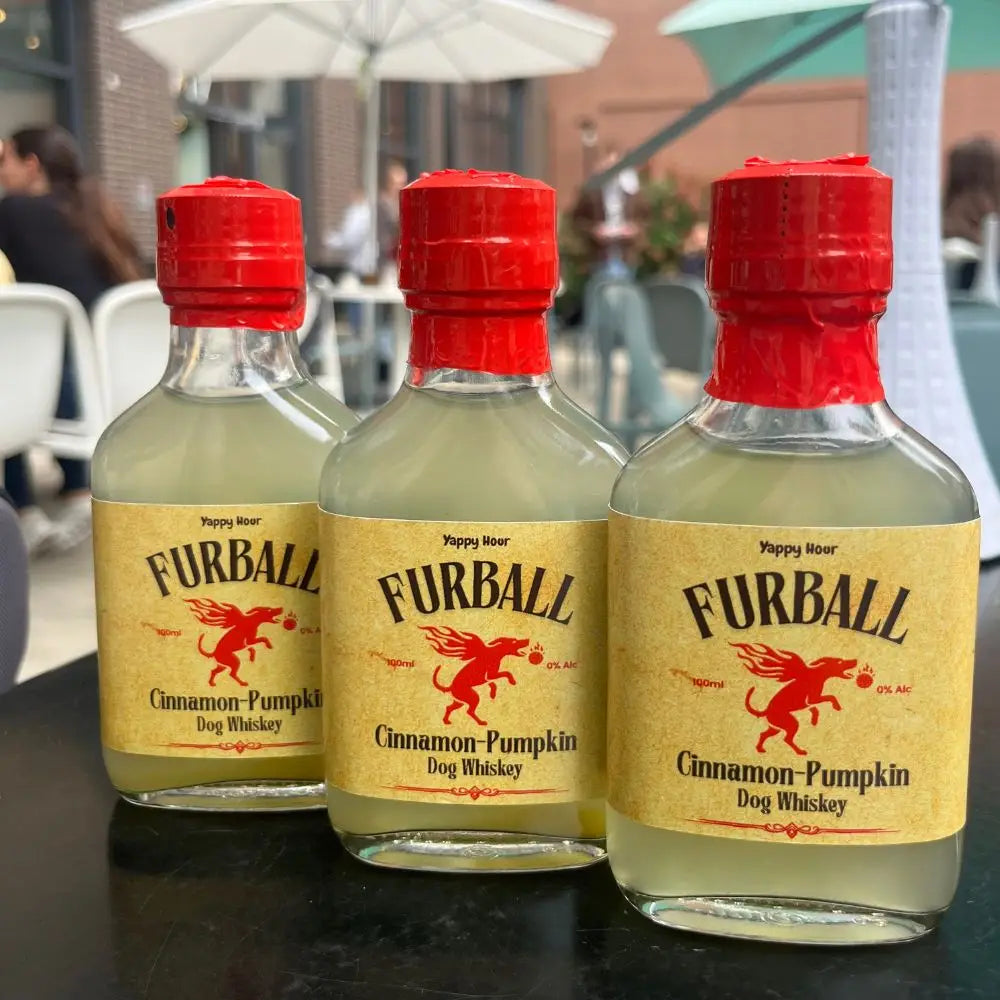 Three bottles of Furball Cinnamon-Pumpkin Dog Treat Whiskey on a table with a blurred outdoor background.