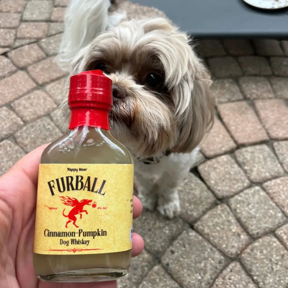 Dog sniffing a bottle of Furball Cinnamon-Pumpkin Dog Treat Whiskey held by a person on a paved surface.
