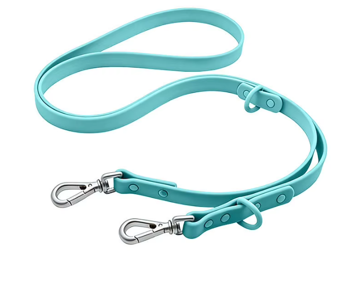 Bandithaus Personalized Waterproof Dog Leash