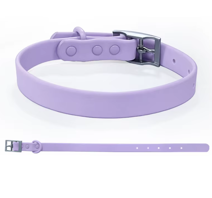 Bandithaus Personalized Waterproof Dog Collar