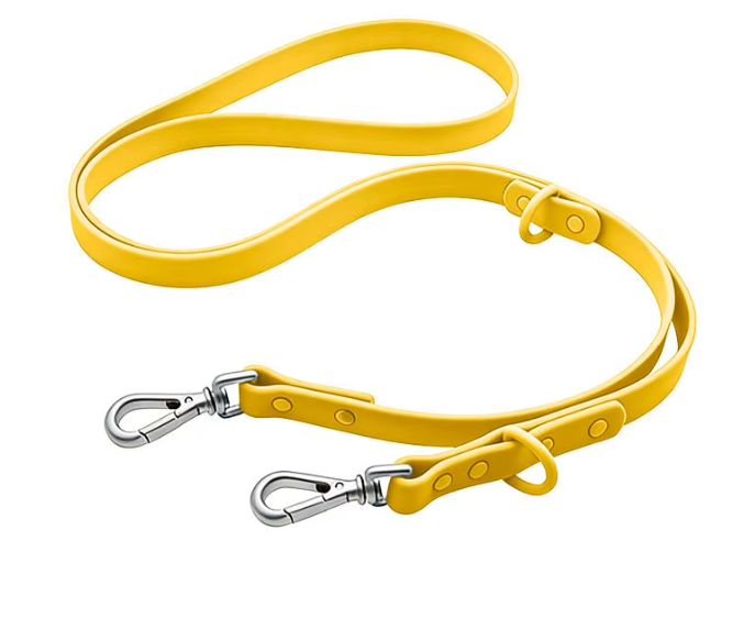 Bandithaus Personalized Waterproof Dog Leash